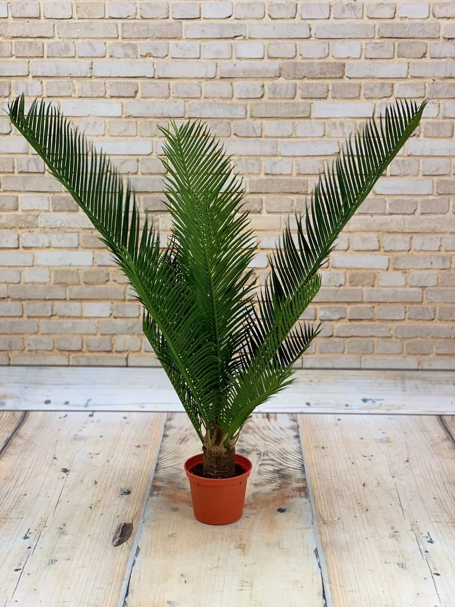 Дерево Пальма 1232  Интернет-магазин Feron Flower 