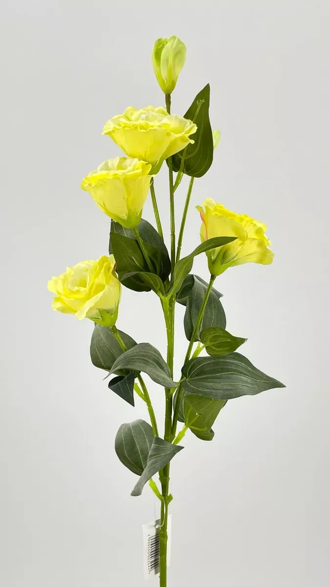 Эустома FL-QH042  Интернет-магазин Feron Flower 