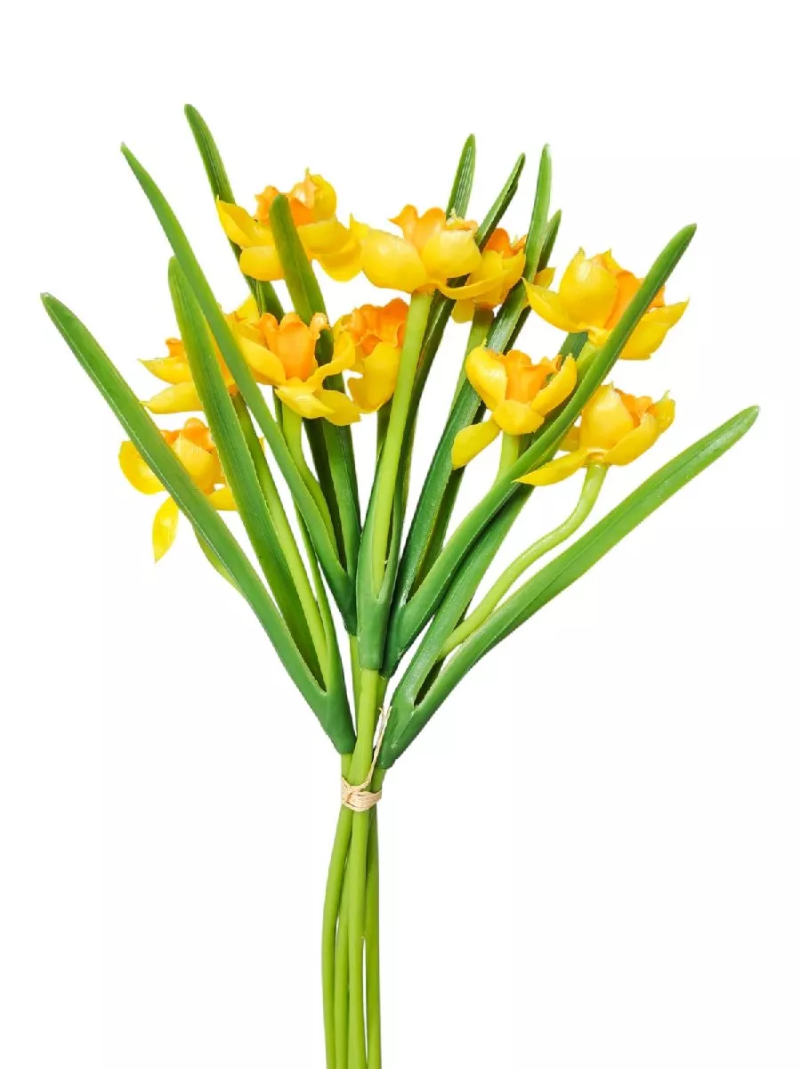 Нарцисс 153480  Интернет-магазин Feron Flower 