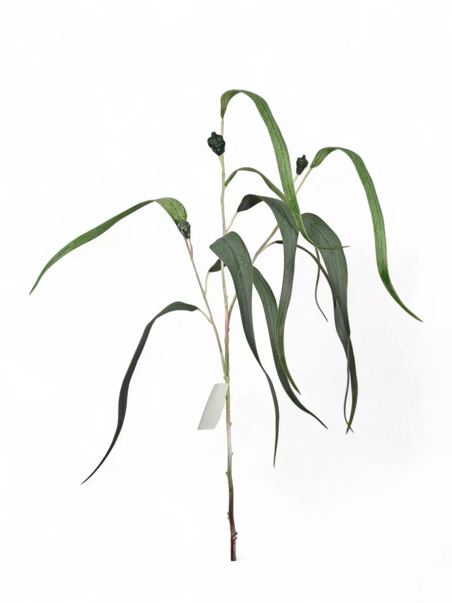 Ветка зелени FL-QH129  Интернет-магазин Feron Flower 