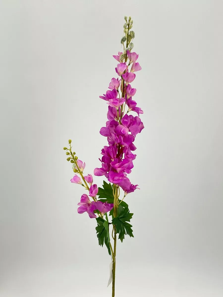 Дельфиниум PIO-123  Интернет-магазин Feron Flower 