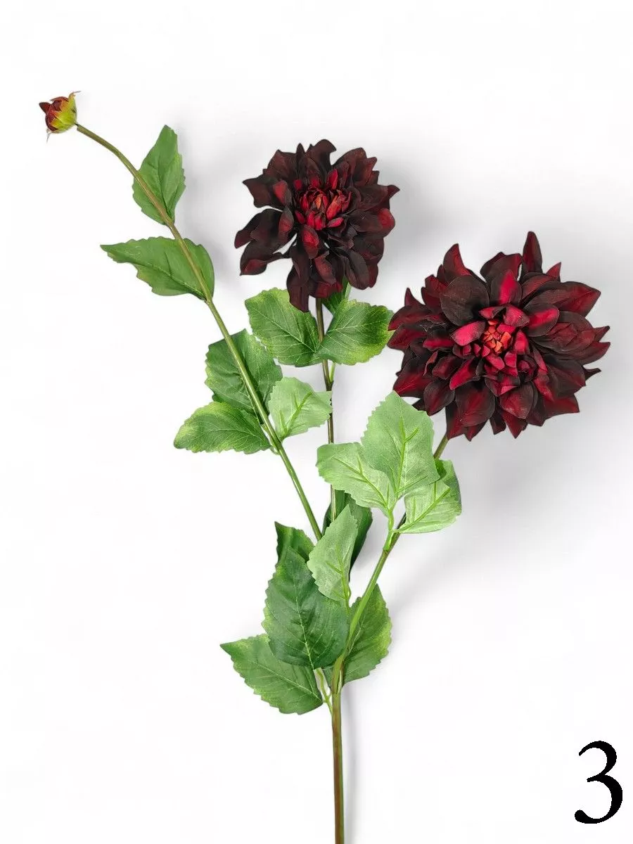 Георгин FL-QH100  Интернет-магазин Feron Flower 