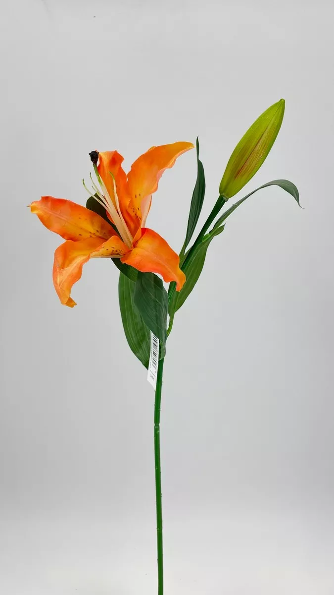 Лилия GK226  Интернет-магазин Feron Flower 