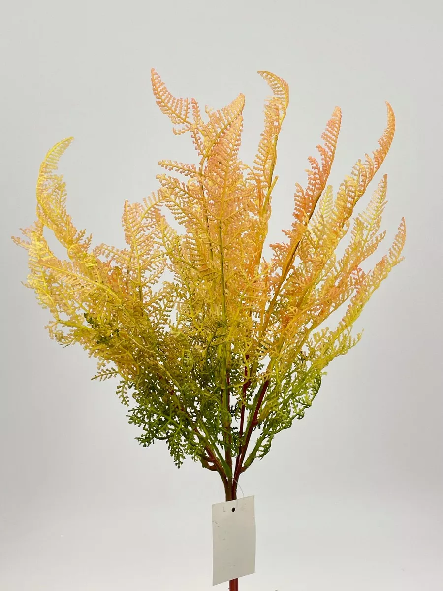 Букет зелени PIO-125  Интернет-магазин Feron Flower 