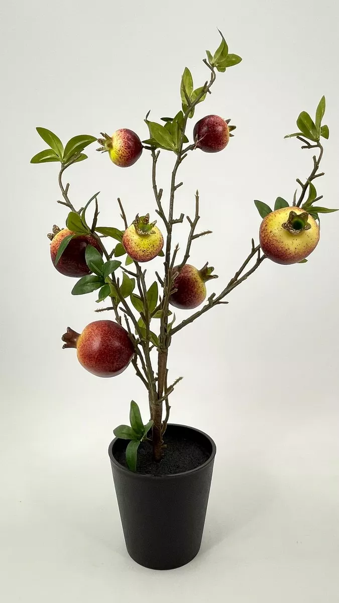 Гранатовое дерево HG6613E  Интернет-магазин Feron Flower 