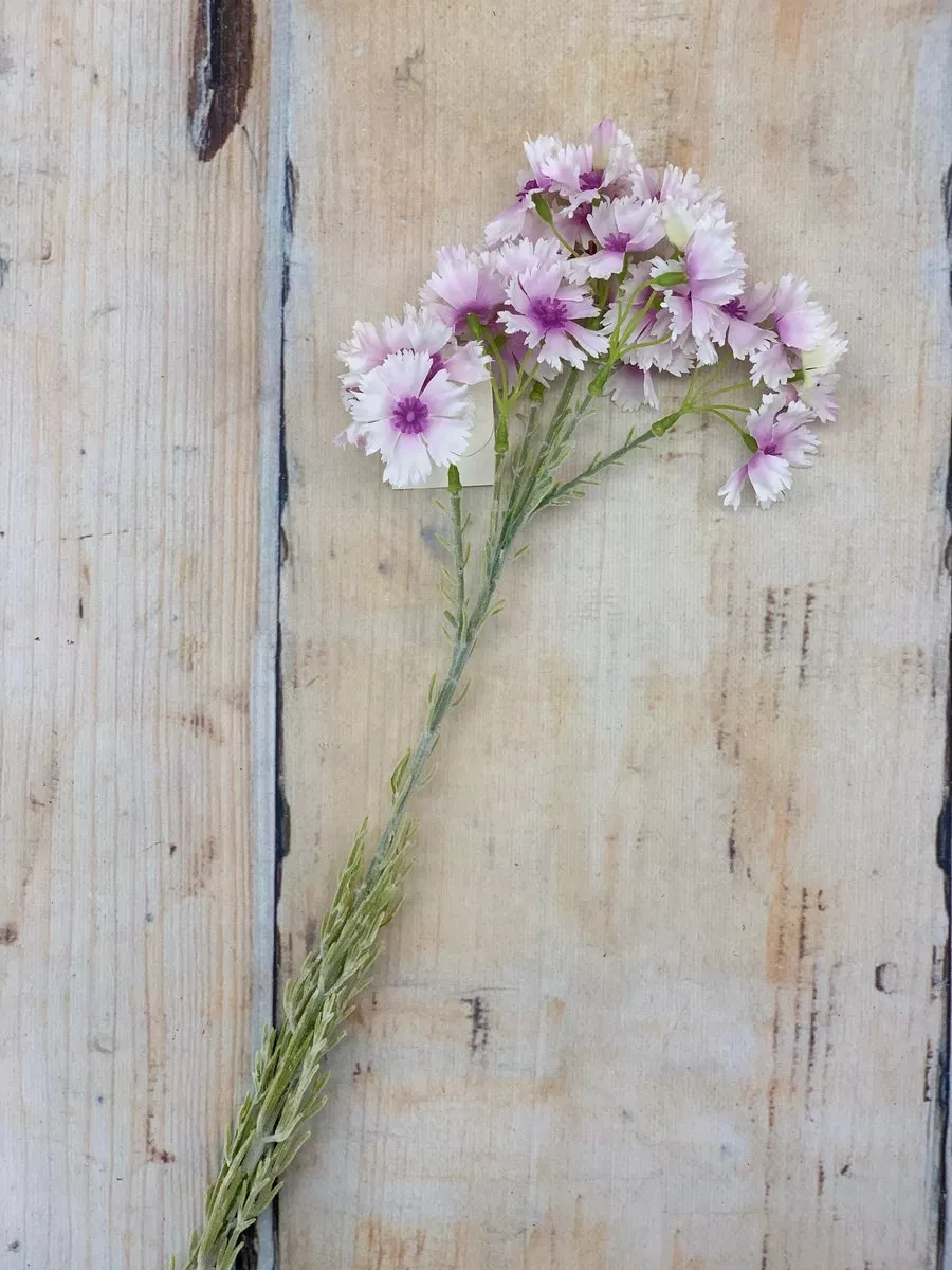 Гвоздика K04078  Интернет-магазин Feron Flower 