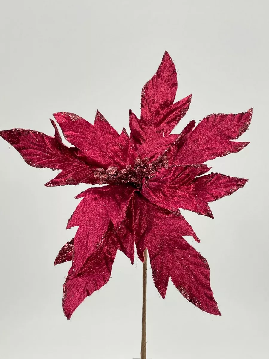 Пуансетия 22CANO-645_02  Интернет-магазин Feron Flower 