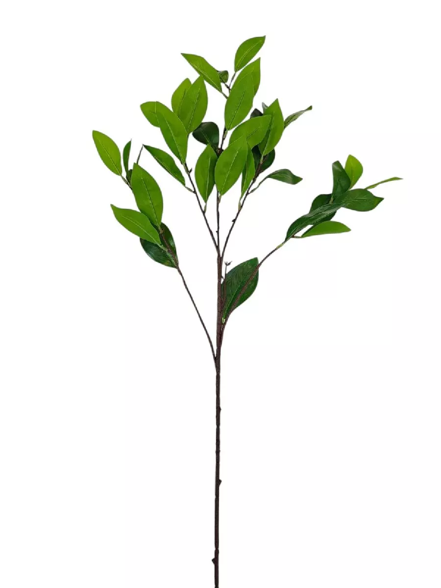 Ветка зелени 9144-1  Интернет-магазин Feron Flower 