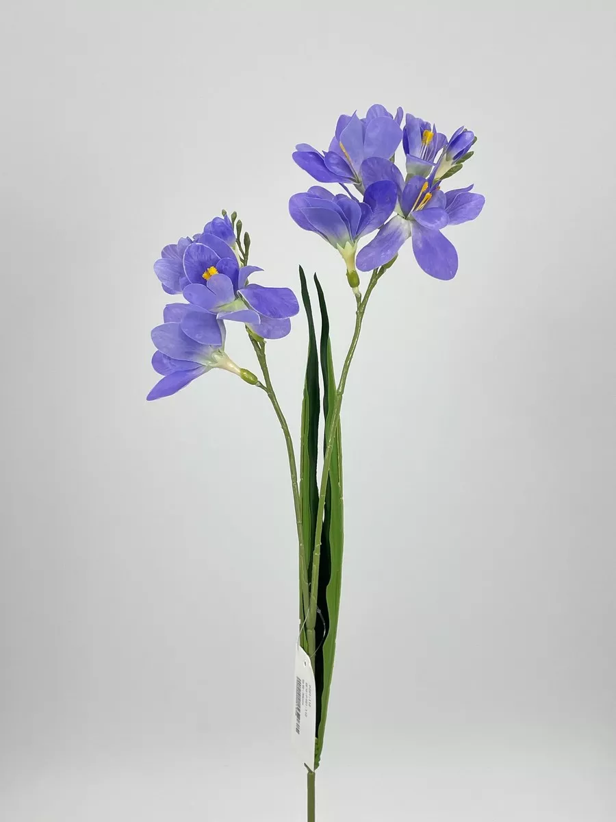 Фрезия PIO-112  Интернет-магазин Feron Flower 