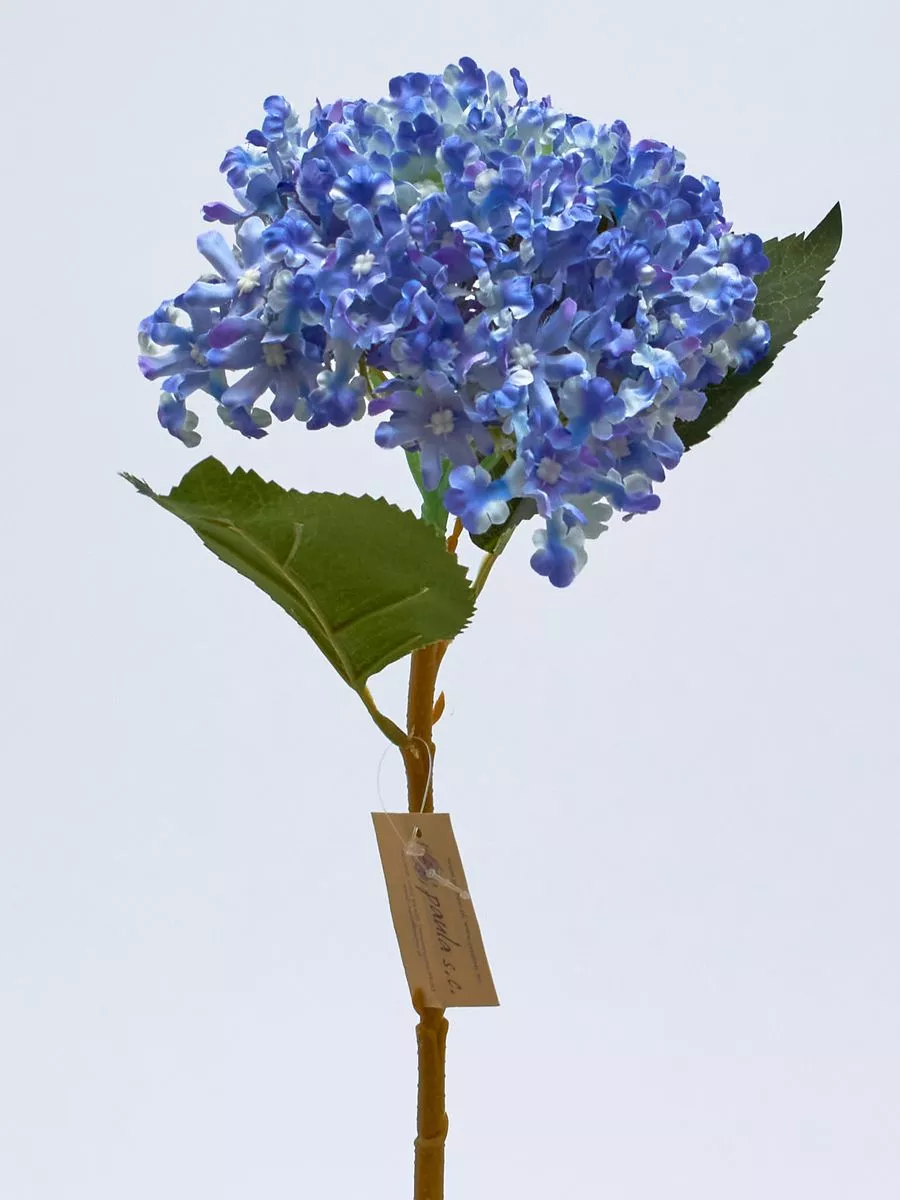 Калина JUL0019-2  Интернет-магазин Feron Flower 
