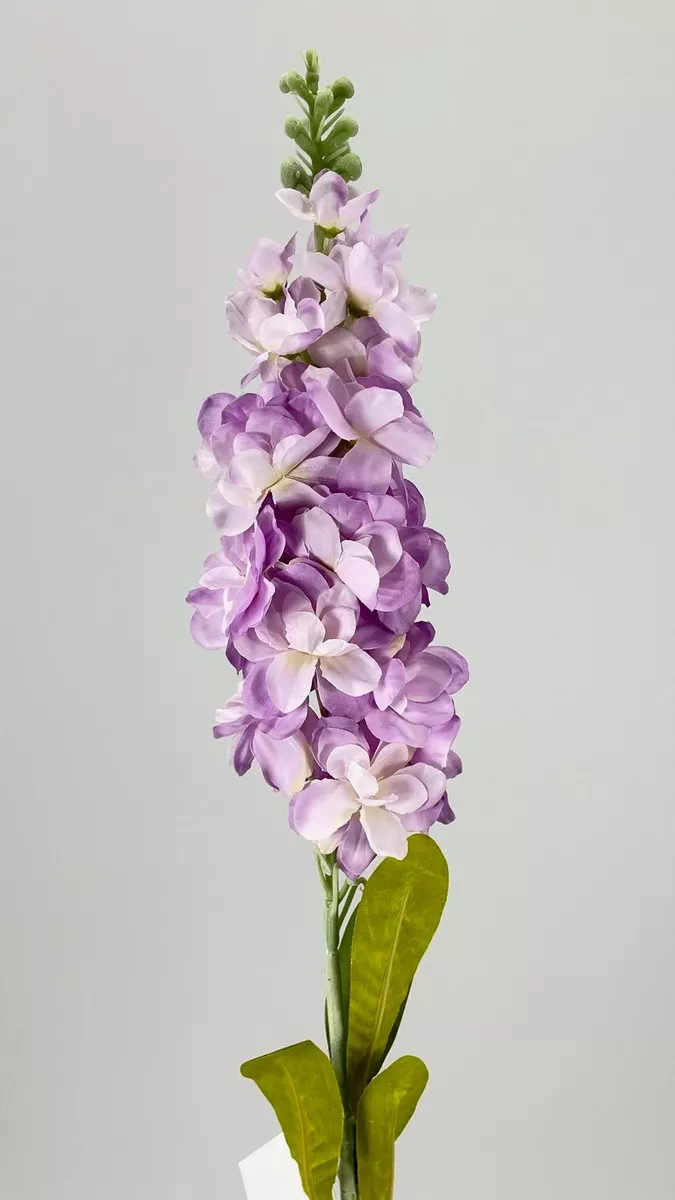 Дельфиниум MR-27747PN  Интернет-магазин Feron Flower 