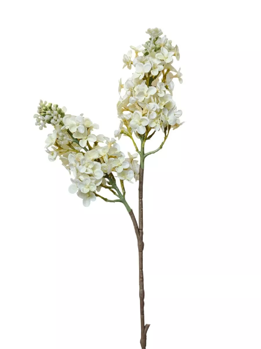 Сирень REN-214 белый  Интернет-магазин Feron Flower 