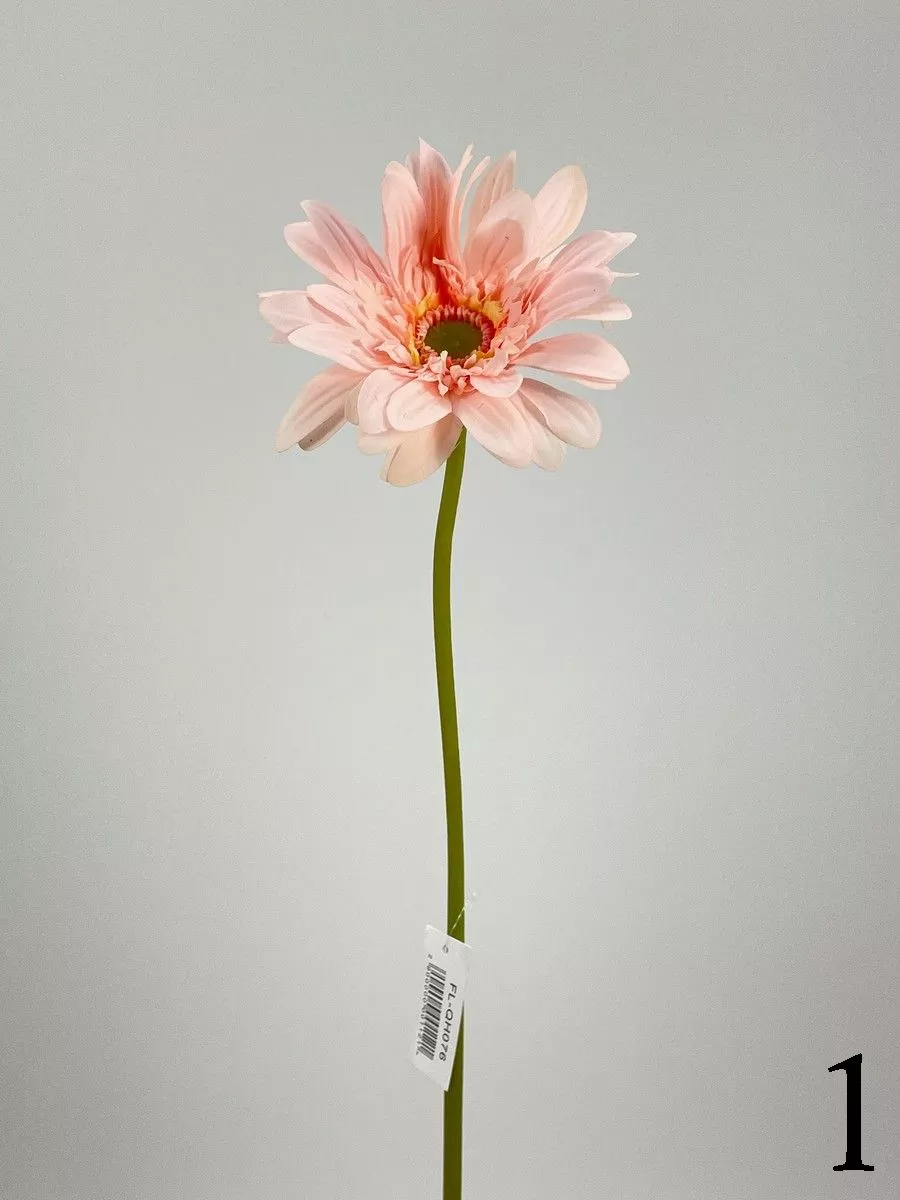 Гербера FL-QH076  Интернет-магазин Feron Flower 