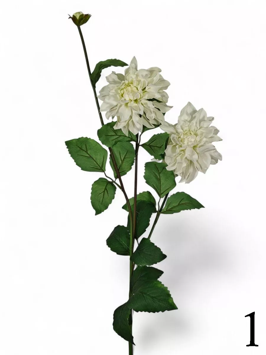 Георгин FL-QH100  Интернет-магазин Feron Flower 