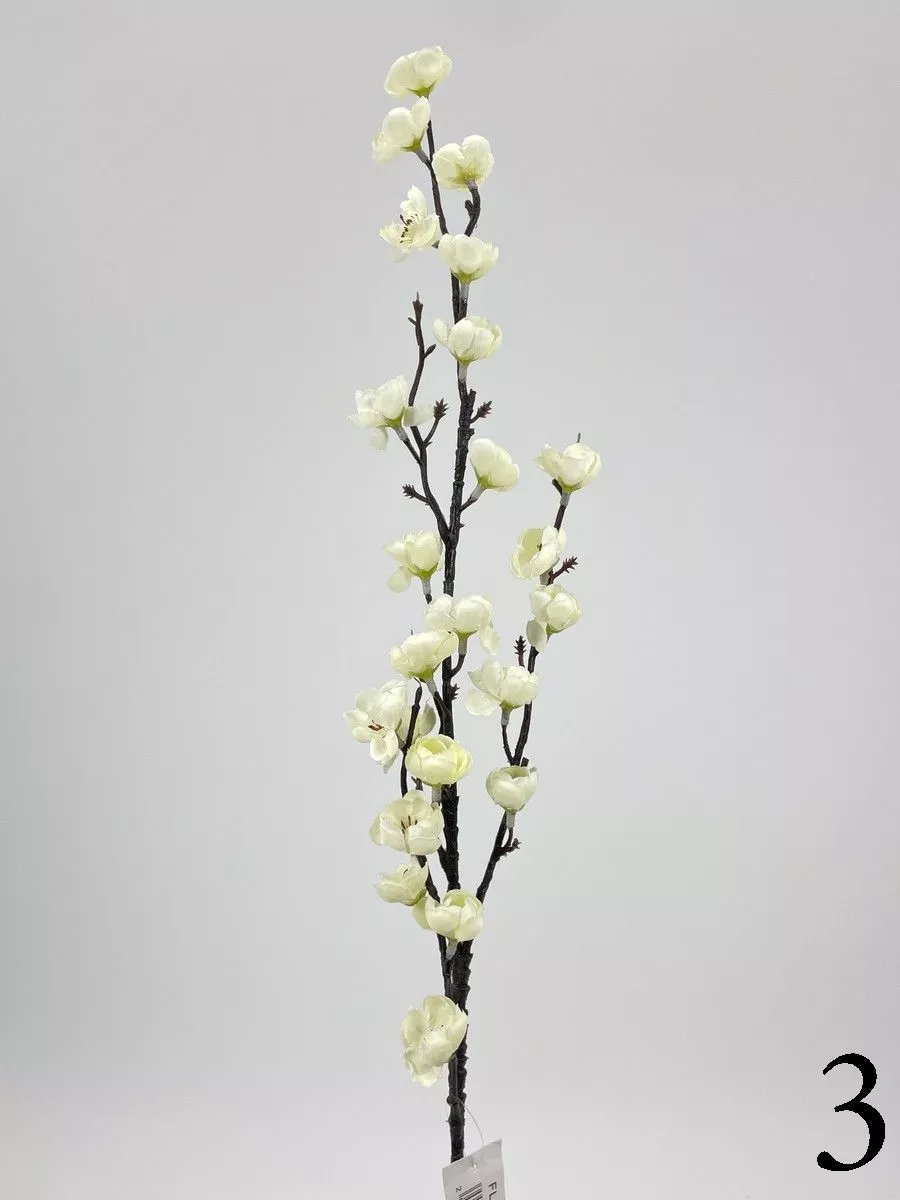 Яблонь FL-QH010  Интернет-магазин Feron Flower 