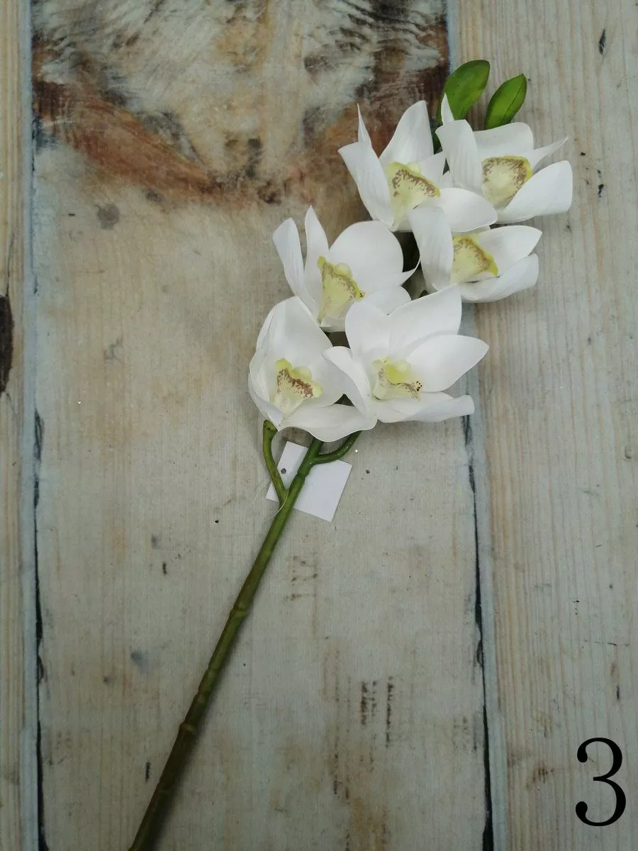 Орхидея GL03348  Интернет-магазин Feron Flower 