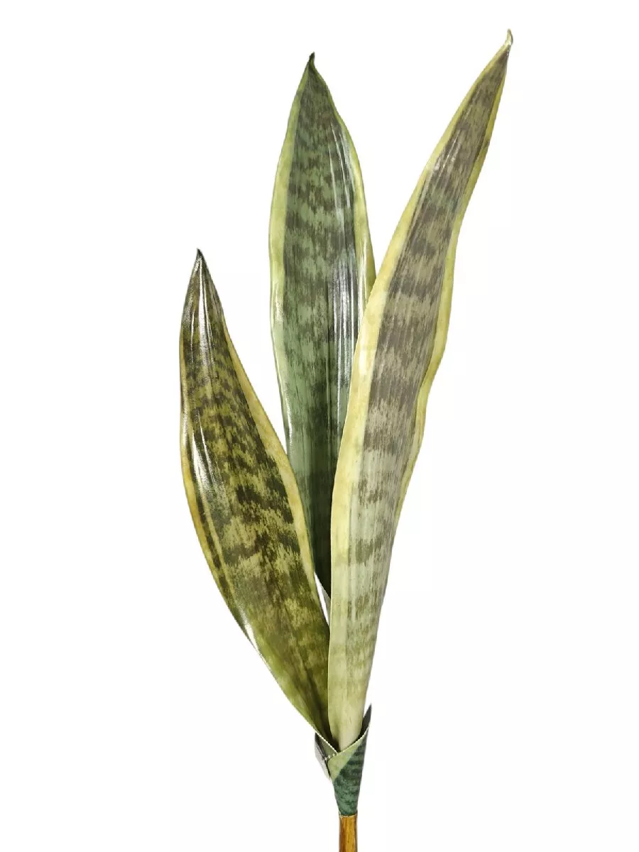 Лист YD180373  Интернет-магазин Feron Flower 