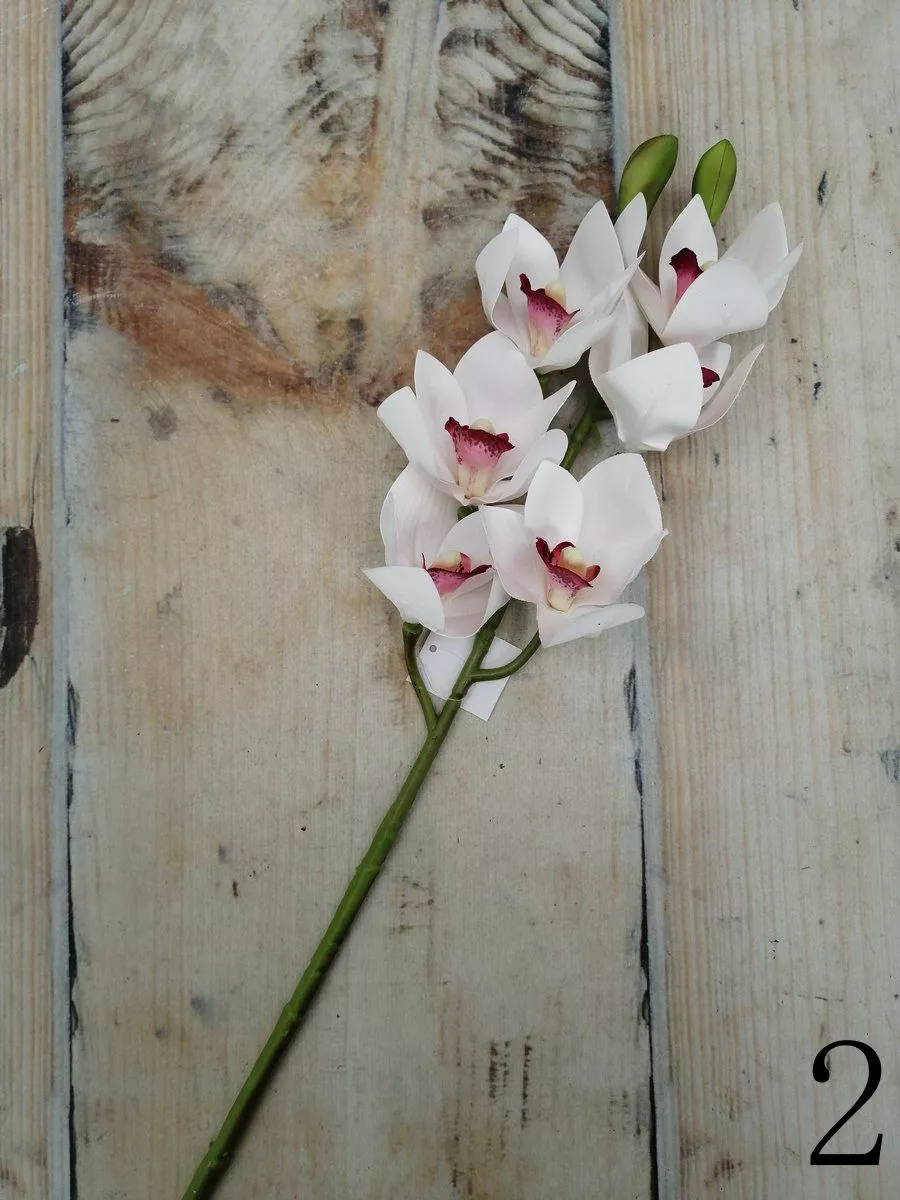 Орхидея GL03348  Интернет-магазин Feron Flower 