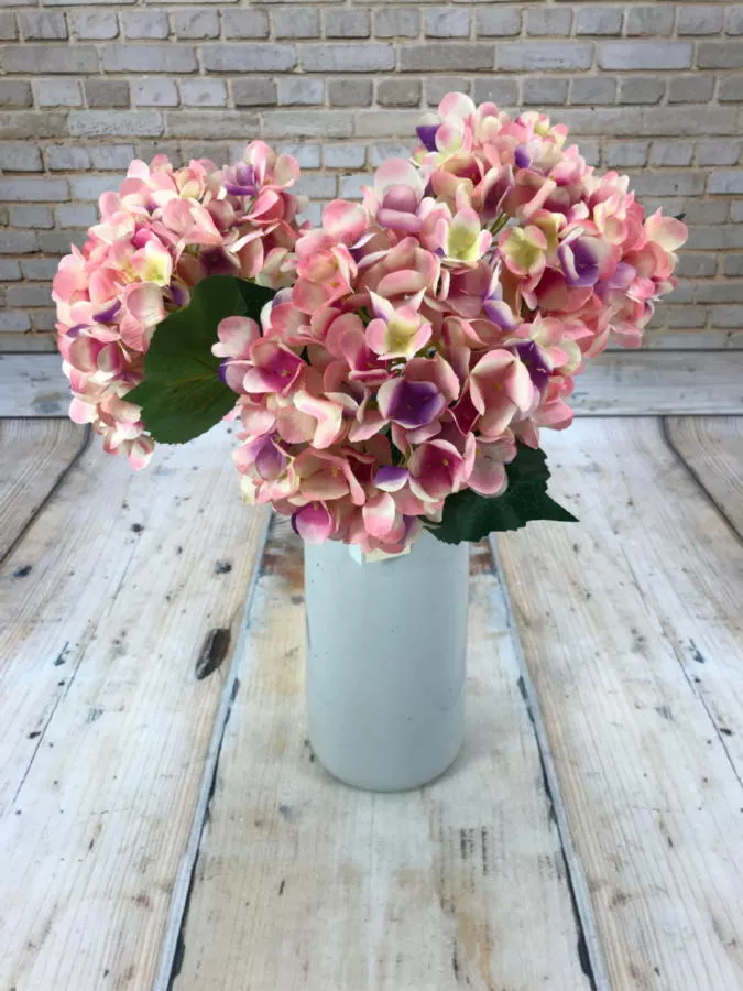 Гортензия 9KL6176  Интернет-магазин Feron Flower 