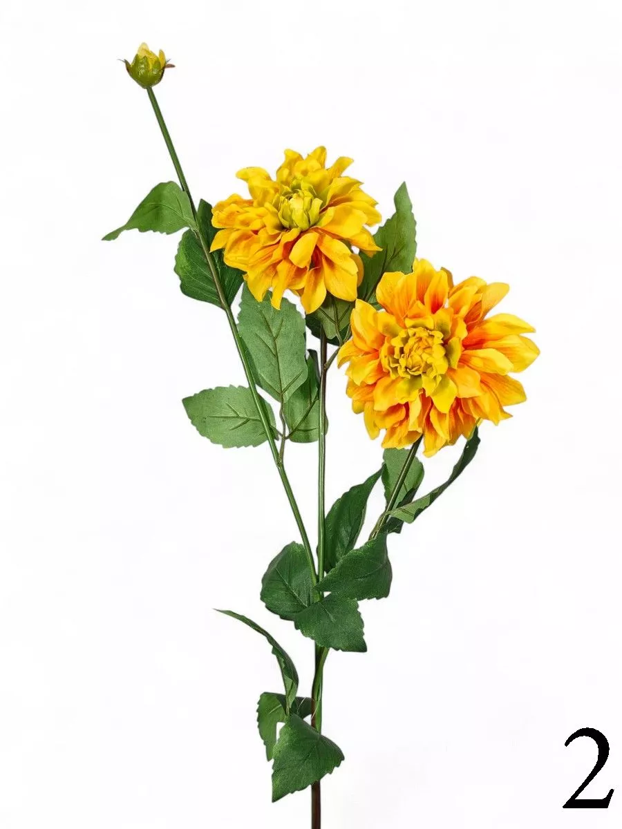 Георгин FL-QH100  Интернет-магазин Feron Flower 