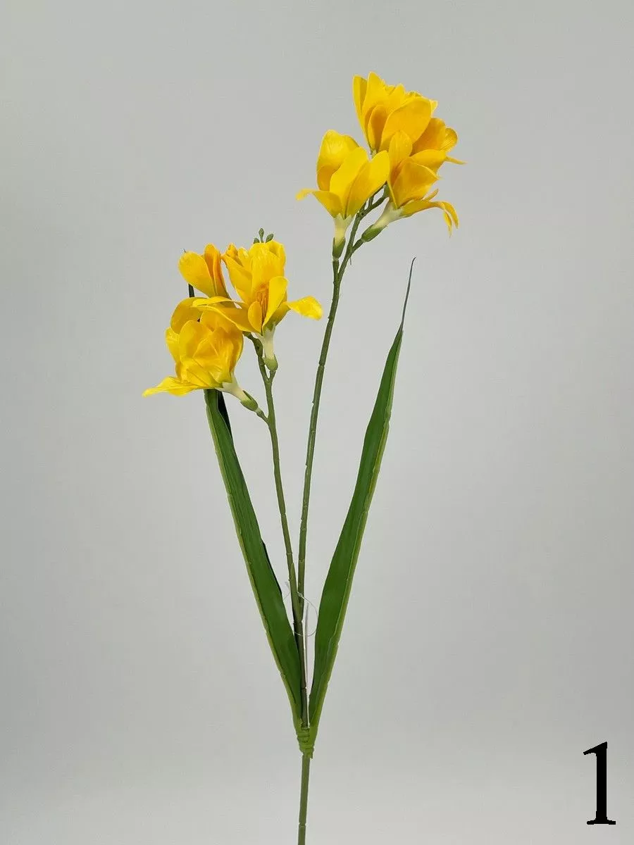 Фрезия PIO-112  Интернет-магазин Feron Flower 