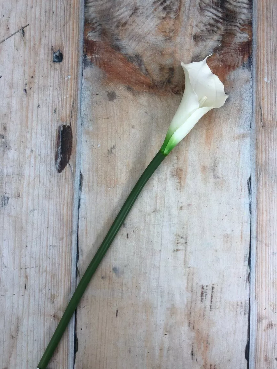 Калла 7700312  Интернет-магазин Feron Flower 