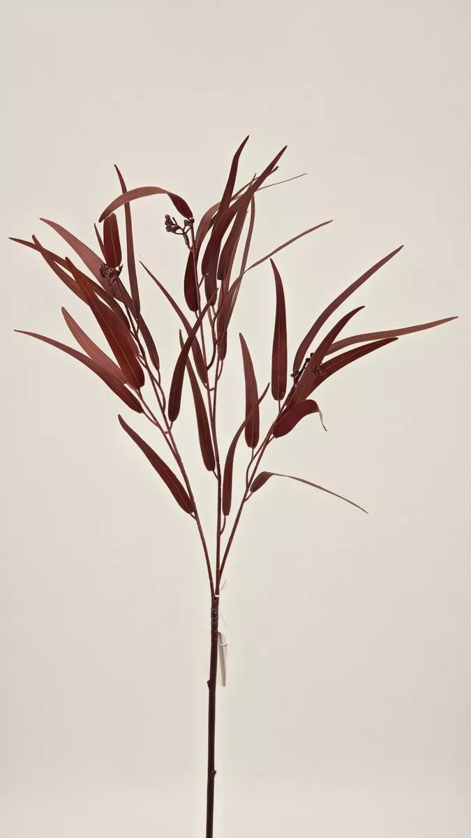 Зелень REN-247 бордовый   Интернет-магазин Feron Flower 