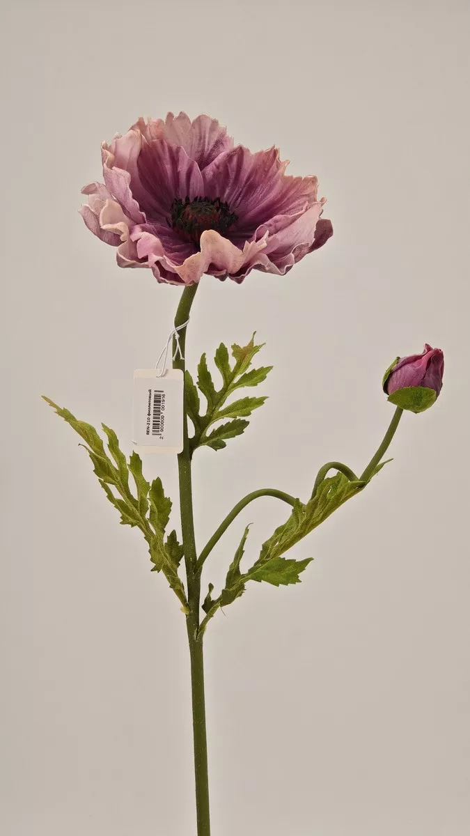 Мак REN-210 фиолетовый  Интернет-магазин Feron Flower 