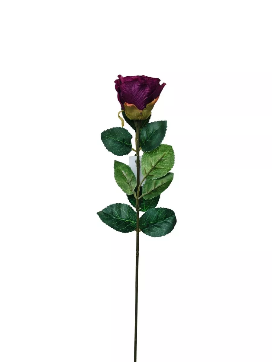 Роза 73663  Интернет-магазин Feron Flower 