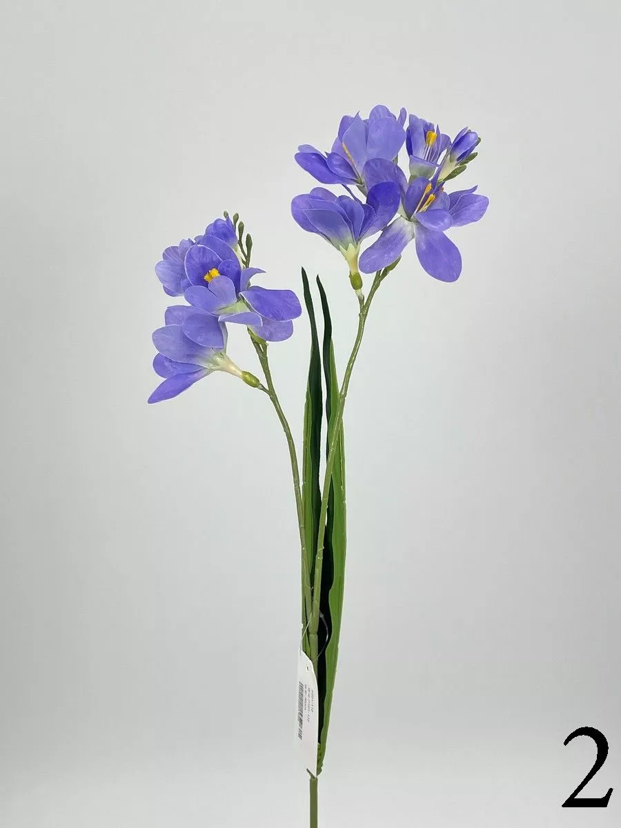 Фрезия PIO-112  Интернет-магазин Feron Flower 